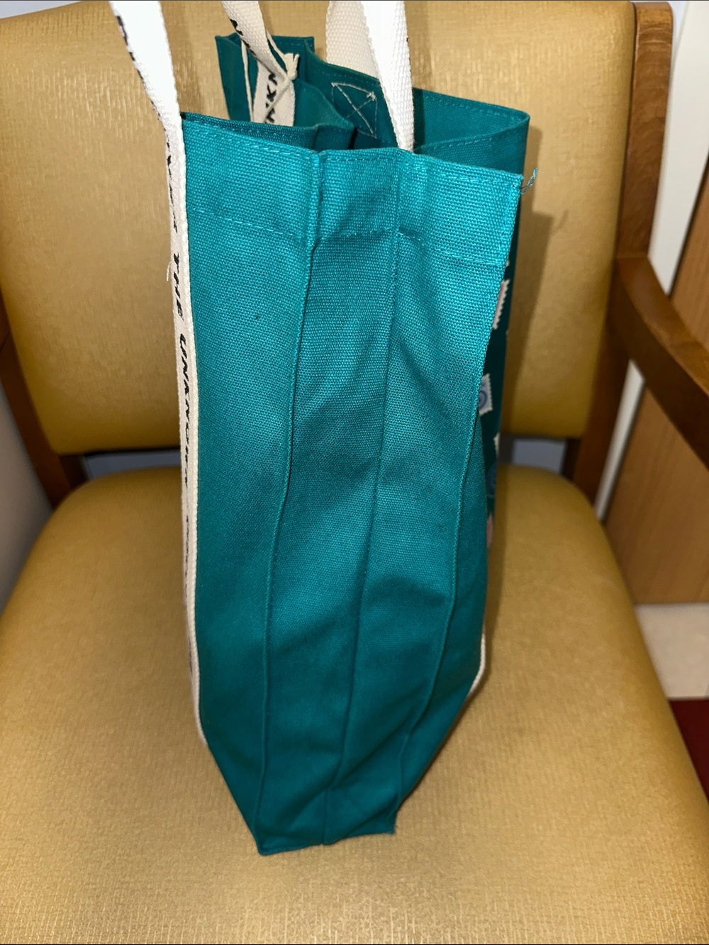 PAPER SOURCE teal ivory multi DISCOVER THE UNKNOWN CANVAS STAMP TOTE - Picture 5 of 11